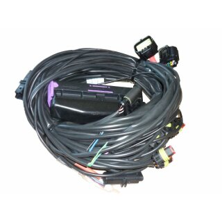 Autronic Mistral 5/6 Zylinder Kabelbaum