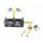 Valtek Rail Typ 30 1 Ohm - 2 Zylinder