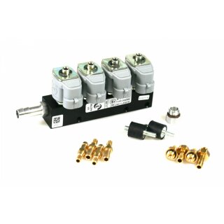 IG1 Rail Injektor - 4 Zylinder 2 Ohm (alte Version)