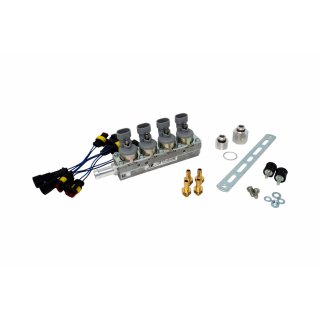 Vercesi LPG/CNG Injektor 4 Zylinder für BRC 09SQ99020011